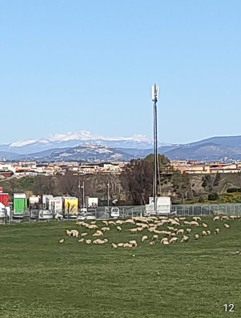 Gruppo Polimar Casilina