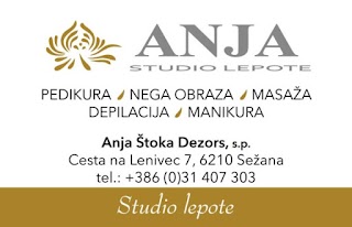 Poslovno svetovanje Anja Štoka Dezors s.p.