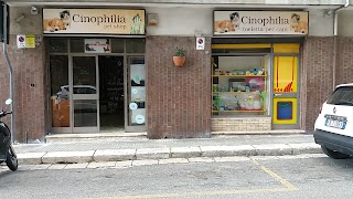 Cinophilia