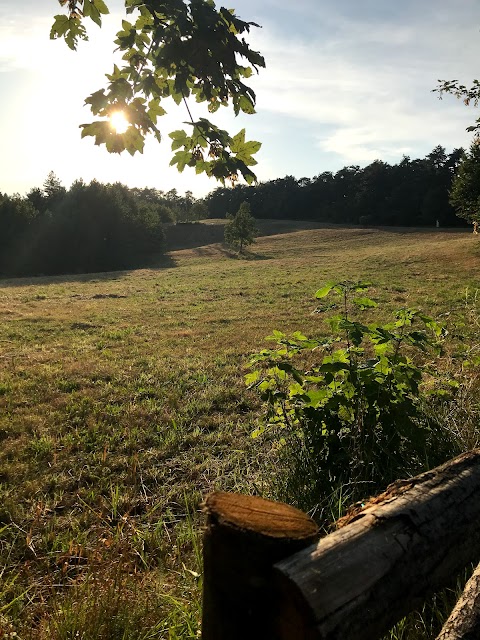 horse & pony club pratorondanino