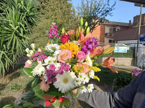 Ditelo Con I Fiori di Monterotondo