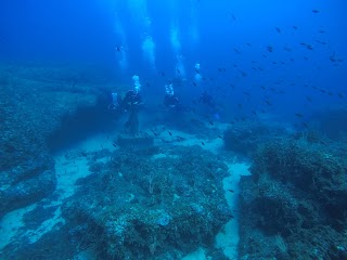 Diving Center Saracen