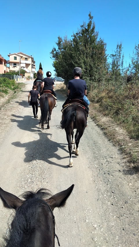 Centro Equestre Il Baio Oscuro