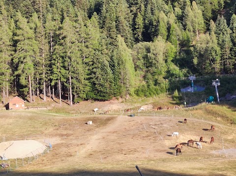 Equestrian Center D'été De La Norma