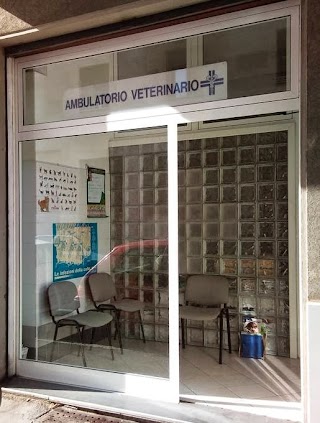 Ambulatorio Veterinario Lame Dott. Manaresi Fabio