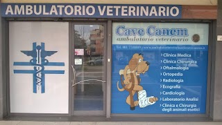 Cave Canem