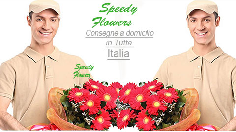 SPEEDY-FLOWERS