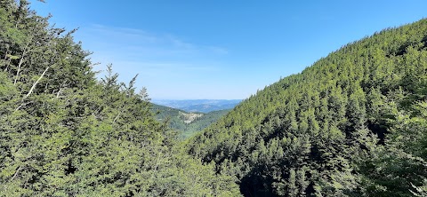 Rifugio Sboccata dei Bagnadori