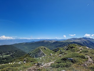 Monte Tarino 1960m