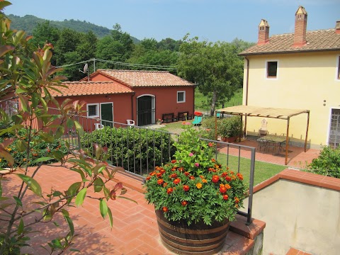 Agriturismo - Casale campo antico