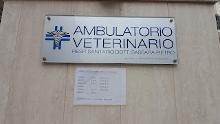 Ambulatorio veterinario Dott Sassara Pietro