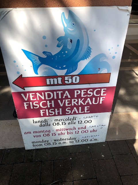 Vendita Pesce--Fischhändler