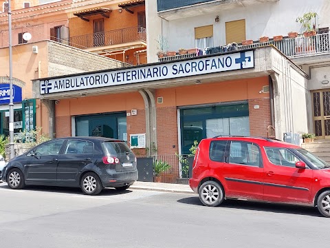 Ambulatorio Veterinario