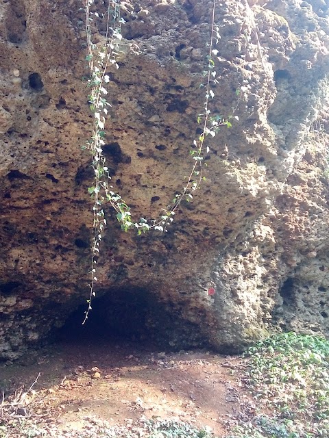 Grotta Buco Inferiore di Bosco Brusa