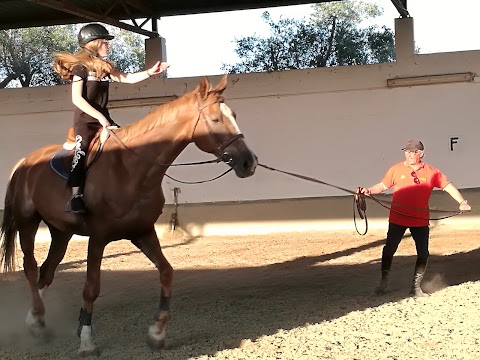 Horse Club Stea - ASD The Dream Scuola di Equitazione