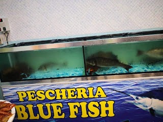 Blue fish