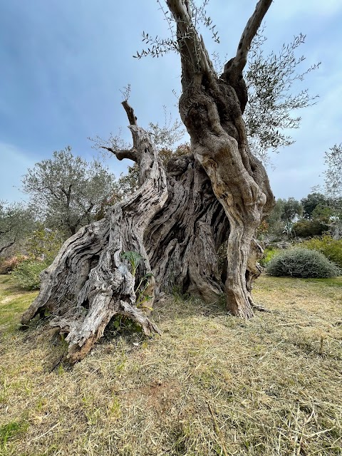 Giardino Botanico Lama Degli Ulivi