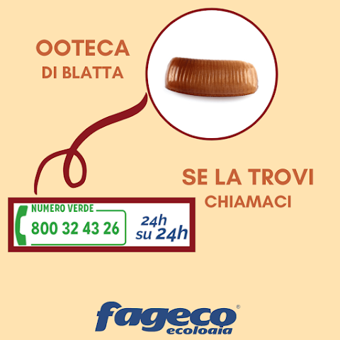 Fageco Ecologia Srl Autospurgo