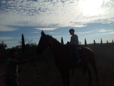 Fattoria Delle Due Rose Circolo Equestre