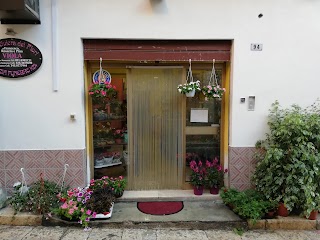 La Riviera Dei Fiori