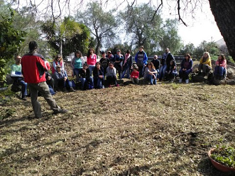 Jacaranda Center - Grounding Institute