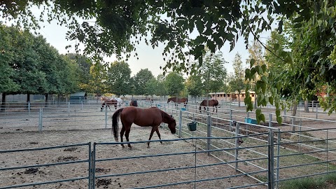 Circolo ippico Le Valli