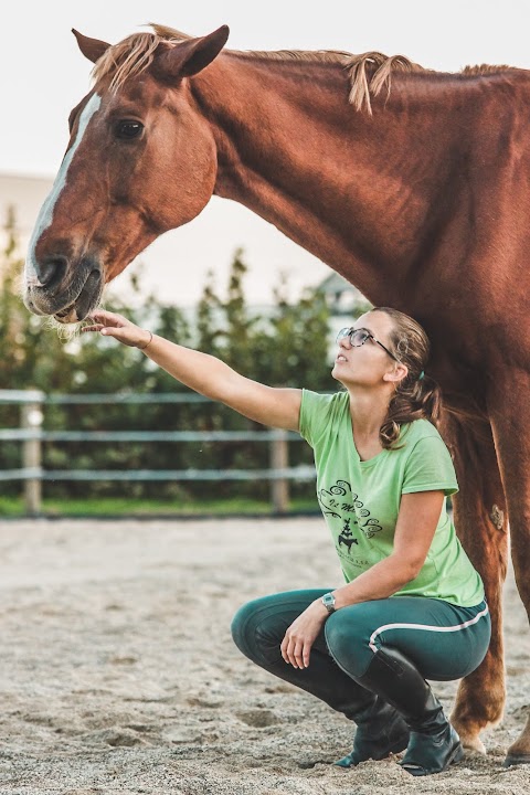 CENTRO EQUESTRE IL MORARO A.S.D.