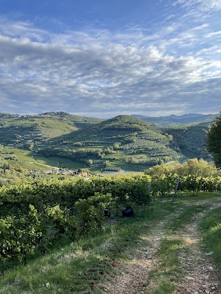 Agriturismo Casa Zen