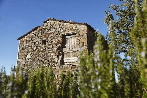 Casa Vacanze Borgo San Pietro