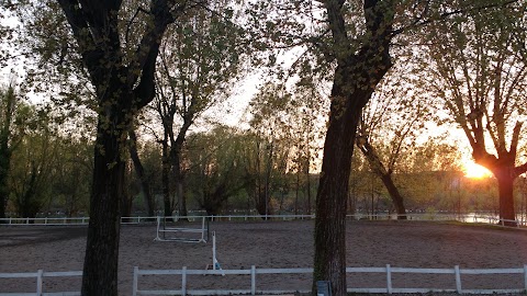 Nuovo Circolo Ippico Scaligero - Maneggio - Scuola di Equitazione