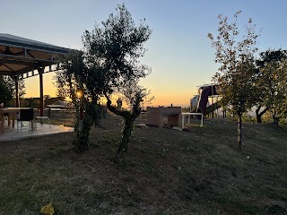 Podere Monteciuffo - Coltivazione e Vendita Diretta di ortaggi e meloni, radici e tuberi.