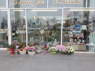 Il Nuovo Fiore Di Rossella