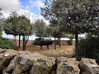 Agriturismo Bioecologico Masseria Gianca