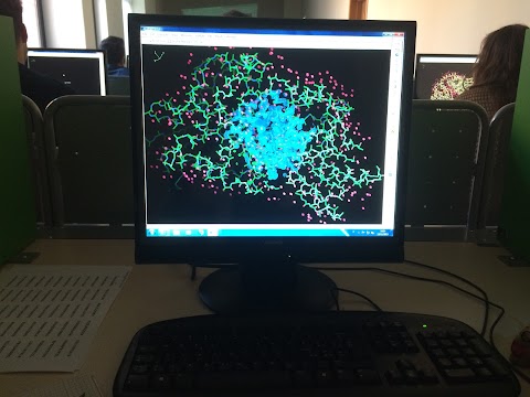 Dipartimento di Scienze del Farmaco - Università degli Studi del Piemonte Orientale "Amedeo Avogadro"