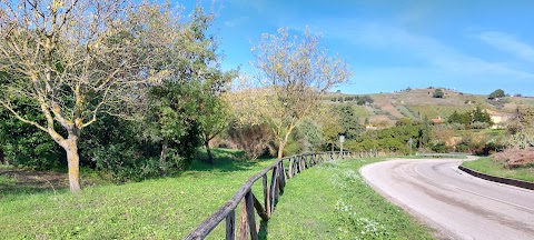 Riserva naturale integrale Grotta di Santa Ninfa