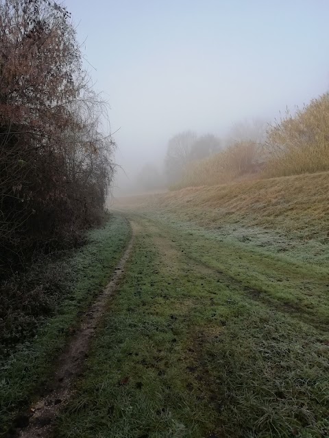 Area di Riequilibrio Ecologico "Bisana"