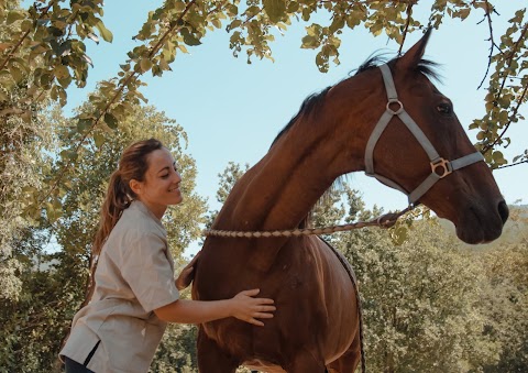 Arena Veterinaria