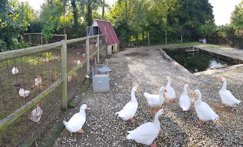 Agriturismo Cà Amedeo