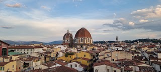 Roof Machiavelli Palace