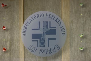 Ambulatorio Veterinario "La Pieve"