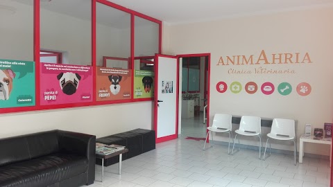 Animahria - Clinica Veterinaria
