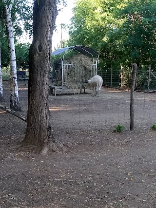 Parco Comunale Il Bosco di Domani