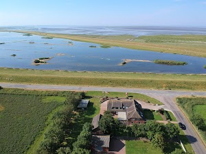 Deichhus Nordseeliebe direkt am Deich - Nordsee - Am Vogelreservat