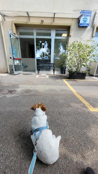 ambulatorio veterinario il borgo