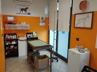 Ambulatorio Veterinario Associato ANIMALIA dei dottori Memmi - Manuguerra