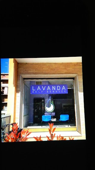 Lavanda