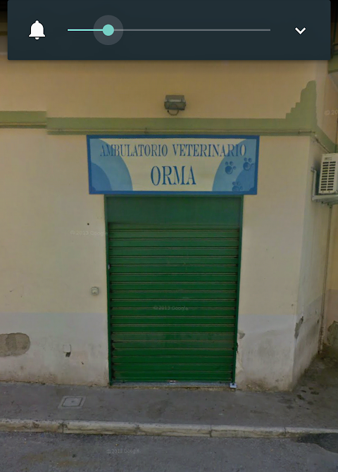 Ambulatorio Veterinario " ORMA " Dott. Vincenzo Trapanese