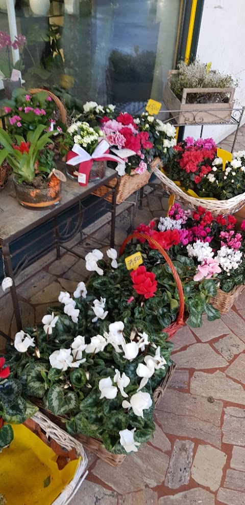 Venice Flower Delivery