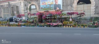 Il Paradiso dei Fiori