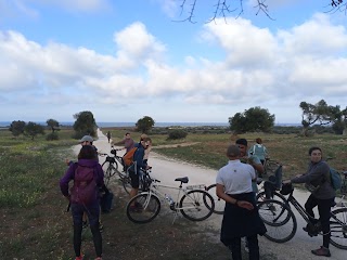 Madera Bike Tour